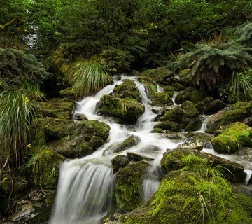 Aspiring National Park