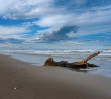 Christchurch Coastline