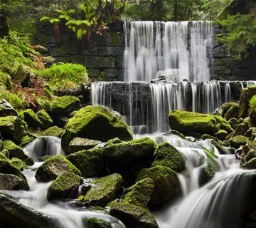 Corcontica cascades