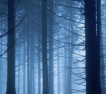 Ready to wander into my darkness?