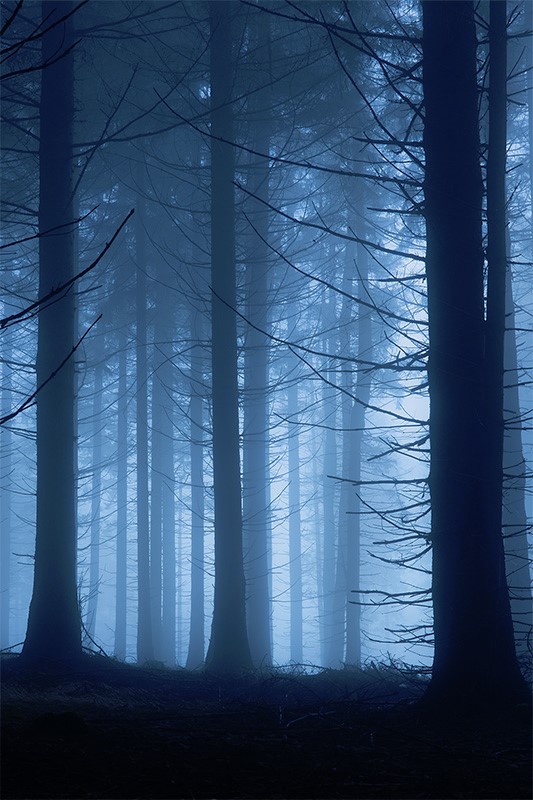 Ready to wander into my darkness?