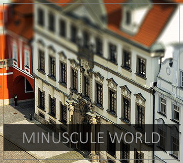 MINUSCULE WORLD